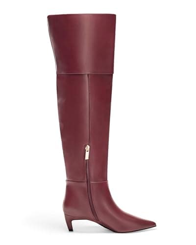 Coutgo Women's Knee High Boots Kitten Low Heel Pointed Toe Tall Long Boots Fall Winter Shoes view 4