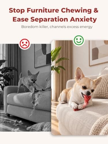 Dog Chew Toys for Aggressive Chewers Durable Tough Nylon Bone view 6