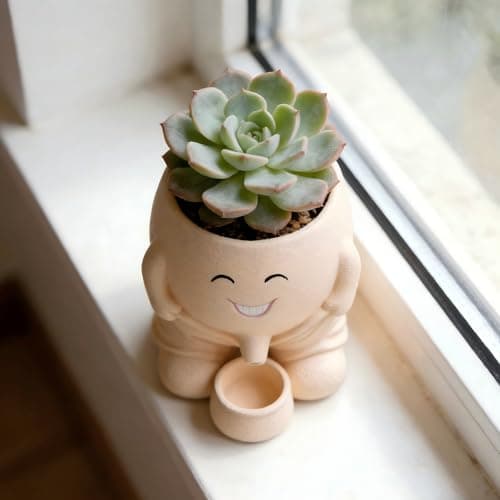Funny Smiley Face Resin Planter, Novelty Whimsical Flower Pot with Drainage Spout, Cute Succulent Planter for Indoor Outdoor Garden Decor, Unique Gift for Plant Lovers view 5