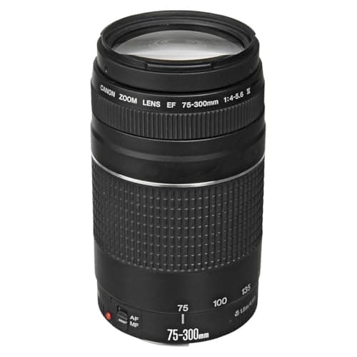 Canon EF 75-300mm f/4-5.6 III Telephoto Zoom Lens for Canon SLR Cameras, 6473A003 (Renewed)