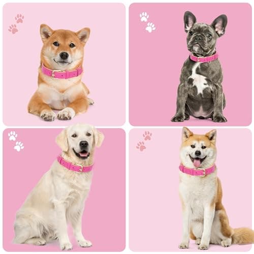 Jumpress Leather Dog Collar for Small Medium Large Dogs, Soft Padded Dog Leather Collar with Heavy Duty Gold Buckle, Durable & Comfortable for Puppy Dogs Daily Walking (Hot Pink, XS) view 3