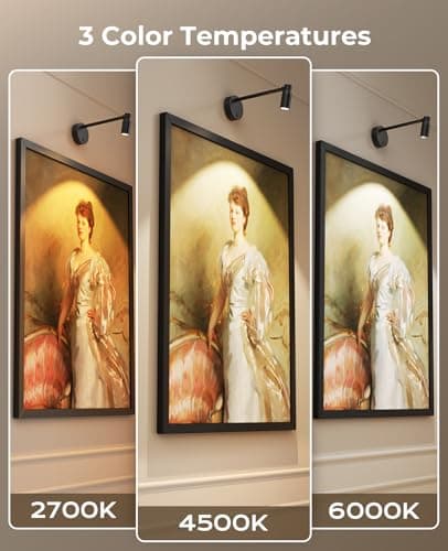 Zoomable Picture Light for Wall, Battery Operated Art Light for Paintings CCT Dimmable Spotlight for Wall Art Wall Light with Remote Control for Living Room Gallery Dartboard Bathroom view 4