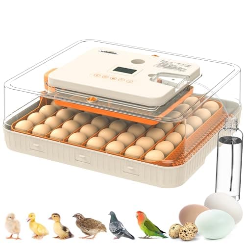 Incubator for Hatching Eggs, 56 Eggs Incubator with Automatic Egg Turning, Temperature & Humidity Control, LED Egg Candler, Incubation Days Display, for Chicken, Duck, Goose, Quail, Parrot Bird Eggs — image 1