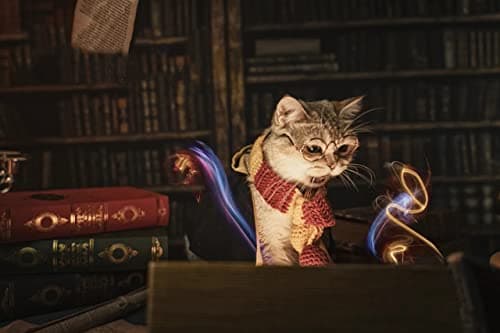 Dog Cat Costumes with Glasses and Neckties,Cosplay Costume Set Perfect for Party and Gifts for Cat Dog (Gryffindor, Medium) view 3