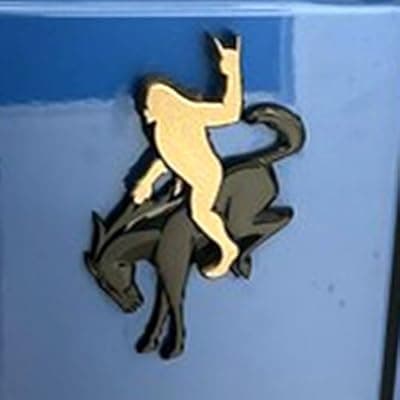 Add-A-Squatch Emblem for Your Bronco,3D Tailgate Emblem Overlay for SUV - Universal Fit 3"x4" Raised Design, Black Automotive Decor with 3M Tape (Rock Out & Horse Emblem Set, Bronze)