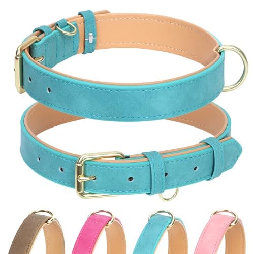 Jumpress Leather Dog Collar for Small Medium Large Dogs, Soft Padded Dog Leather Collar with Heavy Duty Gold Buckle, Durable & Comfortable for Large Dogs Daily Walking (Teal, L) — image 1