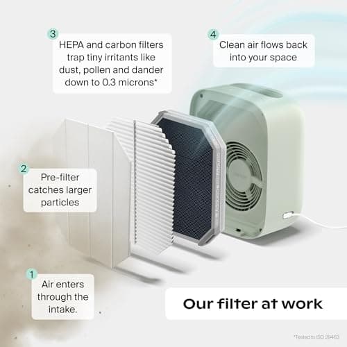 Canopy Bedside Air Purifier | Up To 99.97%* HEPA-13 Filtration | Remove Dust, Pollen & Pet Dander | Night Light & White Noise | Air Quality Sensor | Quiet Fan for Sleep | Filter & Adapter Included view 4
