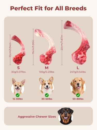 Dog Chew Toys for Aggressive Chewers Durable Tough Nylon Bone view 4