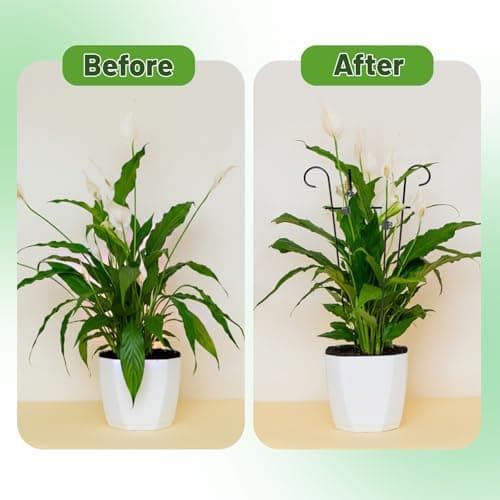 25.6 Inch Plant Trellis for Climbing Plants, 4 Pack Metal Garden Trellis for Potted Plants Indoor House Plant Climber Support Stakes with Plant Clips for Monstera Pothos Hoya Ivy Flower view 5