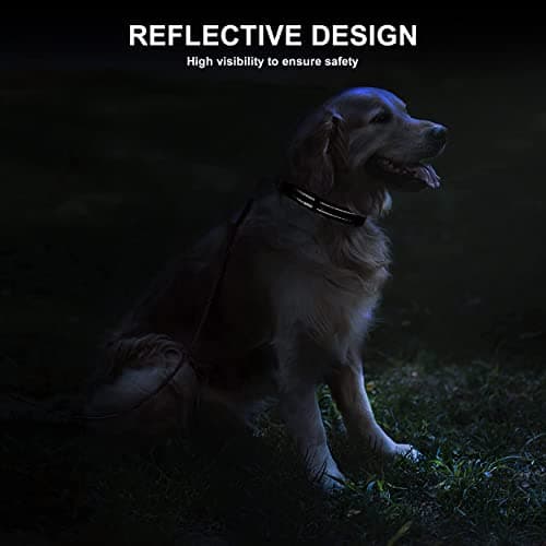 Jumpress Soft Neoprene Padded Dog Collar and Leash Set for Small Medium Large Dogs, Reflective Durable Nylon Dog Collar with 5ft Leash Easy for Walking, Black,Neck fit 12.5-19.5’’ view 5