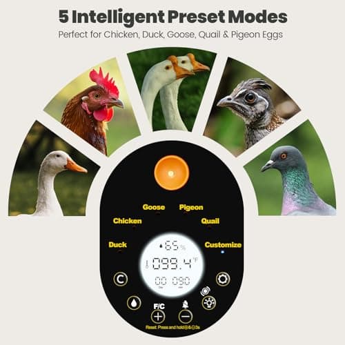 Incubators for Hatching Eggs -15-Egg Automatic Egg Chick Incubator with 5 Smart Preset Modes and Egg Turning, Temperature & Humidity Control Incubator for Goose Duck Children's Day Gift view 2