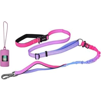 Hands-Free Zipper Pouch Dog Leash 4-6 Foot Elastic Waist Belt Leash Suitable for Medium to Large Dogs Double-Layer Cushioned Handle Car Seatbelt-Style Buckle Dual-Purpose for Training and Jogging