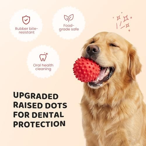 Apasiri Beef-Flavored Durable Dog Ball for Aggressive Chewers, Tough Squeaky Rubber Toy for Pitbulls Large & Medium Breeds view 4