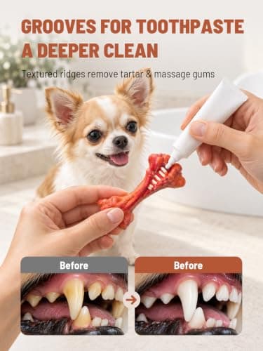 Dog Chew Toys for Aggressive Chewers Durable Natural Rubber Bone view 2