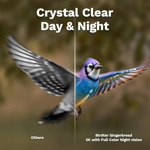 Smart Bird Feeder with Camera Solar Powered 2K UHD Video view 3