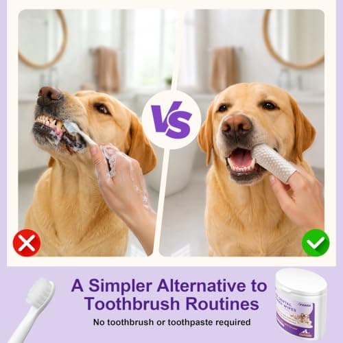 Dog & Cat Dental Finger Wipes, 3D Pearl-Patterned & Raised Dotted Dual-Sided Teeth Wipes, Reduce Bad Breath & Plaque Tartar, Alcohol-Free Gentle Formula, Flip-Top Design for Easy Access - Unscented view 3