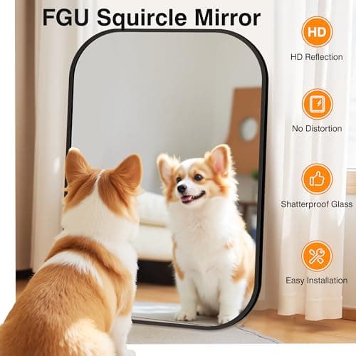 24" x 36" Bathroom Vanity Mirror for Wall, Black | Metal Framed, HD Tempered Glass, Rounded Rectangle Shape, for Over Sink, Bedroom, Entryway, Living Room, Vertical/Horizontal view 4