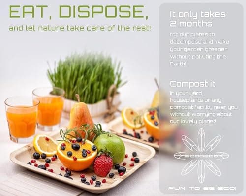 ECODECO Palm Leaf Compostable Plates - 25 pcs - 13 x 10.5 inch Tray - Disposable Eco Friendly Like Bamboo Party Plates view 5