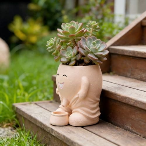 Funny Smiley Face Resin Planter, Novelty Whimsical Flower Pot with Drainage Spout, Cute Succulent Planter for Indoor Outdoor Garden Decor, Unique Gift for Plant Lovers view 4