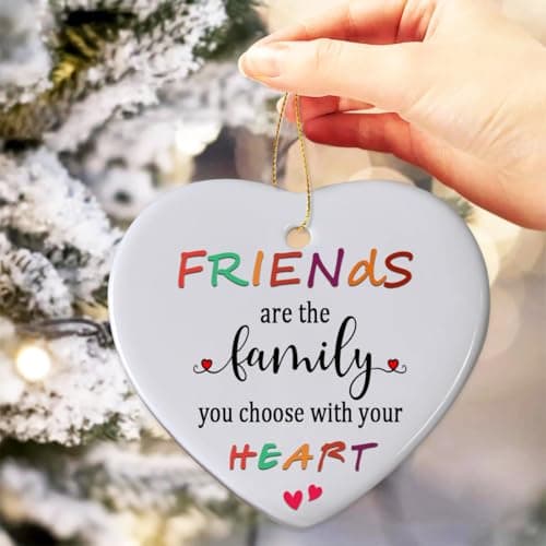 Friends Christmas Ornaments 2025, Friend Ornaments for Women, Friends are The Family We Choose Ornament, Best Friend, Friendship Gifts for Women view 6