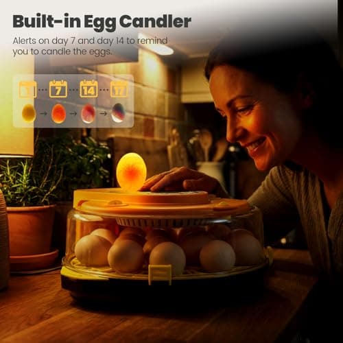 Incubators for Hatching Eggs -15-Egg Automatic Egg Chick Incubator with 5 Smart Preset Modes and Egg Turning, Temperature & Humidity Control Incubator for Goose Duck Children's Day Gift view 4