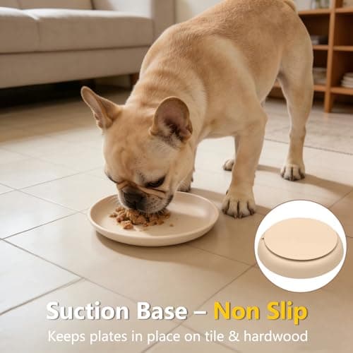 Onyucean Non-Slip Cat & Dog Food Bowl, Shallow Wide Pet Plate for Puppy Kitten, Unbreakable Silicone Feeding Bowls for Cat Dog & Pets, Heavy Duty, Dishwasher Safe, Mess-Free view 7