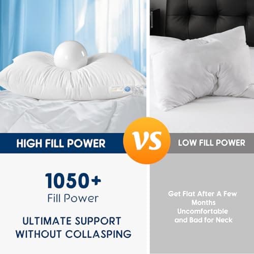 LBRO2M Canadian Fluffy Goose Down Pillow King Size 1050 Fill Power 80% Goose Down 20% Goose Feather Bed Pillow with 100% Cotton, Teflon Finish Shell Down Pillows Plush and Support (20"X36", Set of 2) view 6