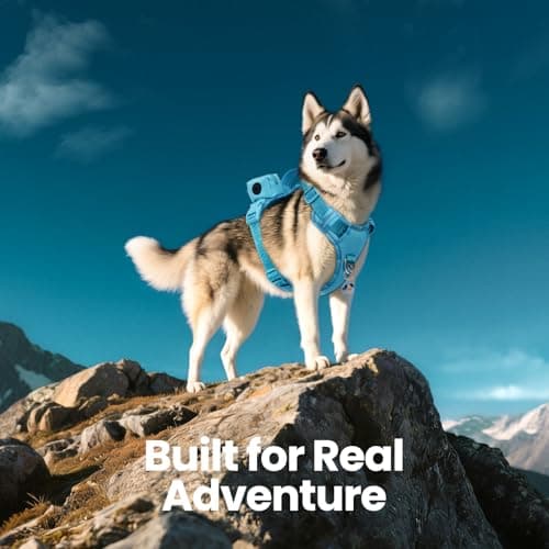 Heavy Duty Outdoor No Pull Dog Harness with Handle, Escape Proof Waterproof Vest, Adjustable Reflective Pet Harness with Front Clip, Detachable Pouch & QR ID Tag for Hiking & Trail Running (XL) view 2