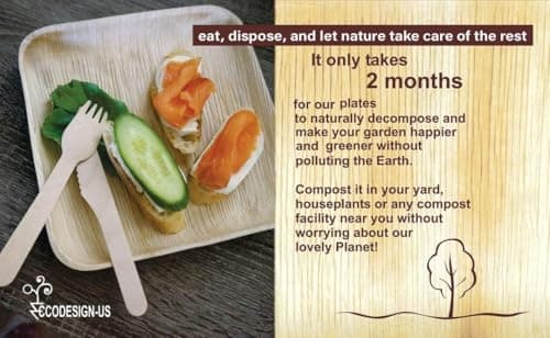 ECODESIGN-US Palm Leaf Plates 100 Count - 6" Square Disposable Heavy Duty Dinnerware - Appetizer and Dessert Plates for Weddings, Catering, Parties view 5