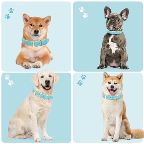 Jumpress Leather Dog Collar for Small Medium Large Dogs, Soft Padded Dog Leather Collar with Heavy Duty Gold Buckle, Durable & Comfortable for Large Dogs Daily Walking (Teal, L) view 3