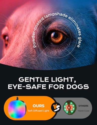 Cuvccn Safety Light 100LM, 4 Modes Dog Collar Light/Stroller/Backpack Light | Eye-friendly RGB Light, Waterproof & Rechargeable Dog Light, 8-22h Runtime, Zinc Alloy Clip on Light for Dog Walking/Hiking view 2