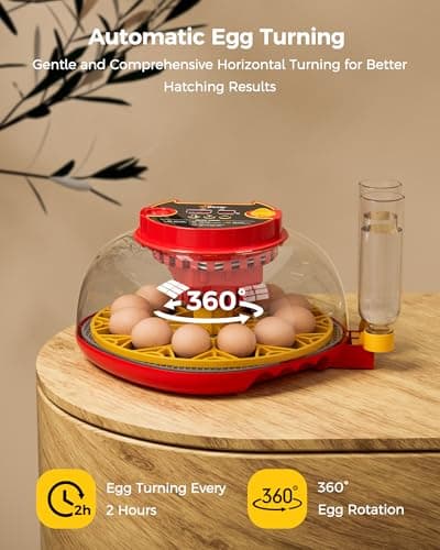 Incubator for Hatching Eggs,Automatic Turning,Temperature and Humidity Control Display,360° Viewing for Chicken, Duck, Quail Eggs, Ideal for Farm, Classroom, Home Use,2025 Upgraded 12 Egg Incubators view 6