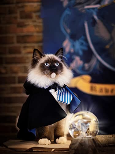 Cat Costumes Halloween 3 Piece Set with Glasses and Neckties, Cat Dog Cosplay Costume Set, Perfect for Party and Gifts for Cat Dog (Blue, Large) view 2