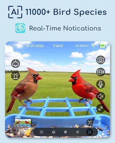 Smart Bird Feeder with Camera Solar Powered for Outdoors, AI Bird Species Identification, 2K HD Video Live Stream Bird House with Cam, Instant Arrival Alerts, Ideal Gifts for Bird Lovers view 2
