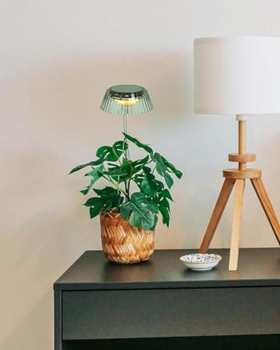 yadoker Small Table Plant Grow Light, LED Growing Touch Lamp with Full Spectrum for Indoor Plants, Height Adjustable, Automatic Timer, 5V Low Safe Voltage, Ideal for Compact Spaces（2 Pack） view 4