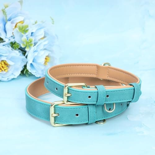Jumpress Leather Dog Collar for Small Medium Large Dogs, Soft Padded Dog Leather Collar with Heavy Duty Gold Buckle, Durable & Comfortable for Large Dogs Daily Walking (Teal, L) view 4