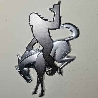 Add-A-Saquatch to Your Bronco,3D Tailgate Emblem Overlay for SUV - Universal Fit 3"x4" Raised Design, Black Automotive Decor with Tape (Riding Horse Set - A, Black)