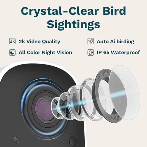 Smart Bird Feeder with Camera Solar Powered 2K UHD Video view 6