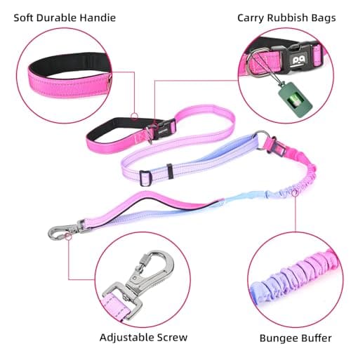 Hands-Free Zipper Pouch Dog Leash 4-6 Foot Elastic Waist Belt Leash Suitable for Medium to Large Dogs Double-Layer Cushioned Handle Car Seatbelt-Style Buckle Dual-Purpose for Training and Jogging view 2