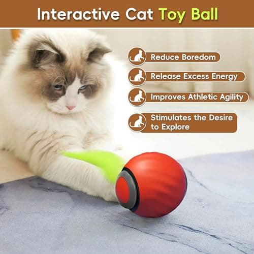 Petrendy Speedy Tail Cat Toy 2.0, Interactive Cat Ball Toy for Bored Indoor Cats, Automatic Moving Pet Play Ball, Two Speed Adjustment with Replacement Tail view 2