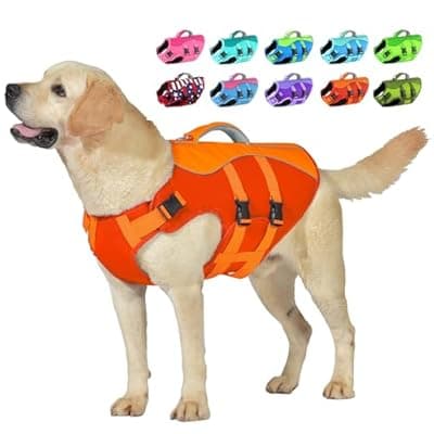 Petglad Dog Life Jacket, High Buoyancy Dog Life Vest with Handle for Swimming Boating, Adjustable Swimming Vest with Reflective Trim for Small Medium Large Dogs - Orange, M