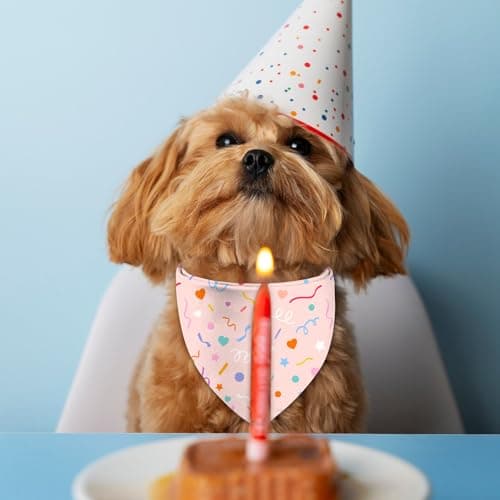 Happy Birthday Dog Bandanas, Double Sided Adjustable Birthday Party Pet Decorations 2 Pack Triangle Bibs Cat Scarf Set view 3