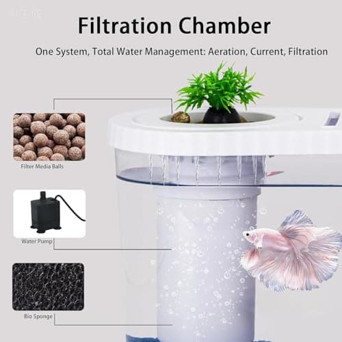 2.2Gal Aquarium Starter Kits, Small Beta Fish Tank Kit with Quiet Filter & Color Light, Nano Desktop Tank for Betta Shrimp Guppy Goldfish, Complete Starter Kit (12.6 * 7 * 5.6 Inch) view 3