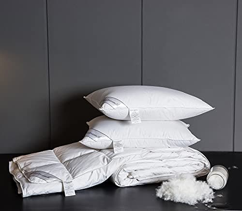 Eastwarmth Lightweight Goose Down Comforter Cooling Blanket Duvet for Summer/Warm Weather,Ultra Soft Fabric 750 Fill Power White King Size view 6