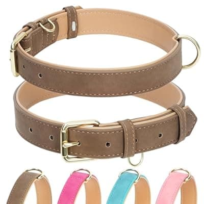 Jumpress Leather Dog Collar for Small Medium Large Dogs, Soft Padded Dog Leather Collar with Heavy Duty Gold Buckle, Durable & Comfortable for Large Dogs Daily Walking (Light Brown, L)