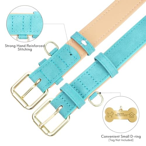 Jumpress Leather Dog Collar for Small Medium Large Dogs, Soft Padded Dog Leather Collar with Heavy Duty Gold Buckle, Durable & Comfortable for Large Dogs Daily Walking (Teal, L) view 5