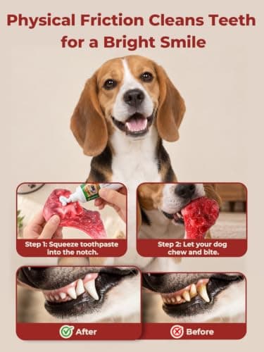 Dog Chew Toys for Aggressive Chewers Durable Tough Nylon Bone view 3