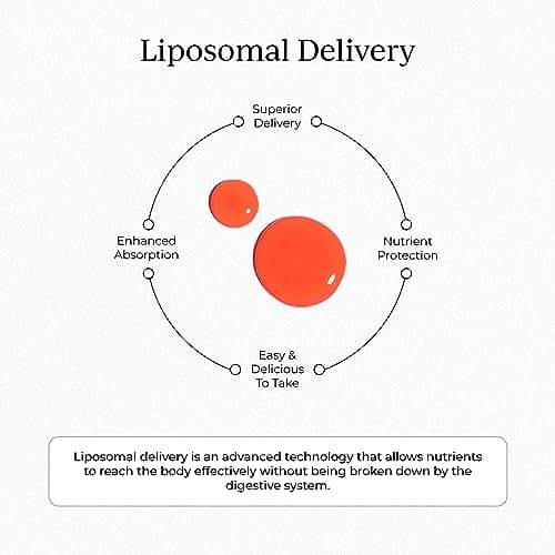 CYMBIOTIKA Liposomal Vitamin B12 1250mcg for Energy & Hair Support | Bioavailable liposomal B12 for cellular energy, cell production & healthy hair, skin & nails. Vegan, sugar free. 2 fl oz. view 5