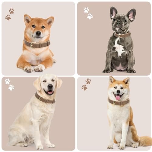 Jumpress Leather Dog Collar for Small Dogs, Soft Padded Dog Leather Collar with Heavy Duty Gold Buckle, Durable & Comfortable, Brown, S view 3