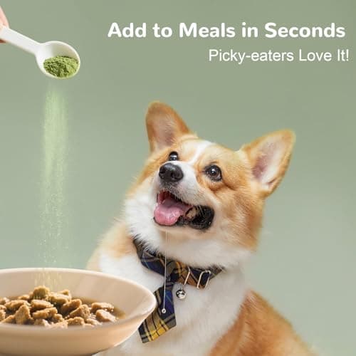 Vetriuntrix Dog Teeth Cleaning Powder, Dental Powder for Dogs Teeth Tartar Remove & Plaque Off, Fresh Breath for Dogs with Natural Plants Blend, Enzymes and Postbiotics, 80g view 4